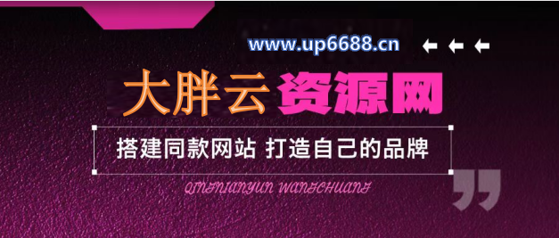 加盟高级合伙人，享推广90%佣金-大胖云网创